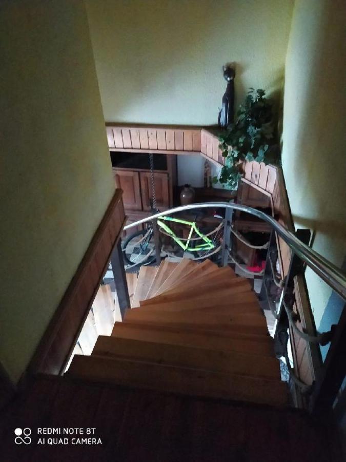 Penzion u Lípy Decin Exterior foto